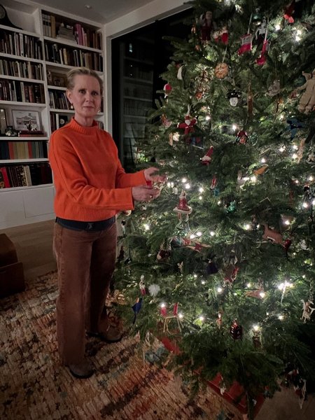 Синтія Ніксон будинок Синтія Ніксон